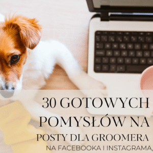 30 Gotowych pomysłów na posty dla Groomera – na Facebooka i Instagrama, które sprzedają Twoje usługi