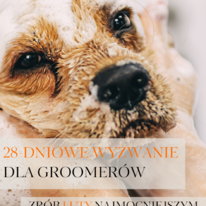 28-DNIOWE WYZWANIE DLA GROOMERÓW